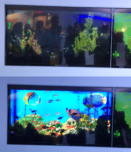 fish-tank-transparent-tv